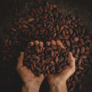 Cacao